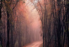 欧洲预选赛惊现大冷门：传统豪门苦战无果